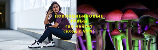 бошки Алексин