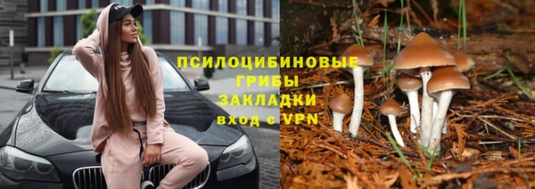 таблы Алзамай