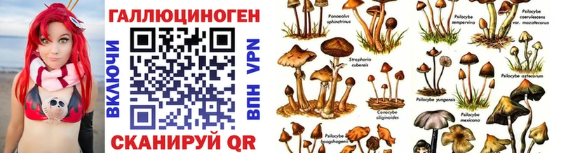 цены   Сатка  KRAKEN онион  Галлюциногенные грибы мицелий 